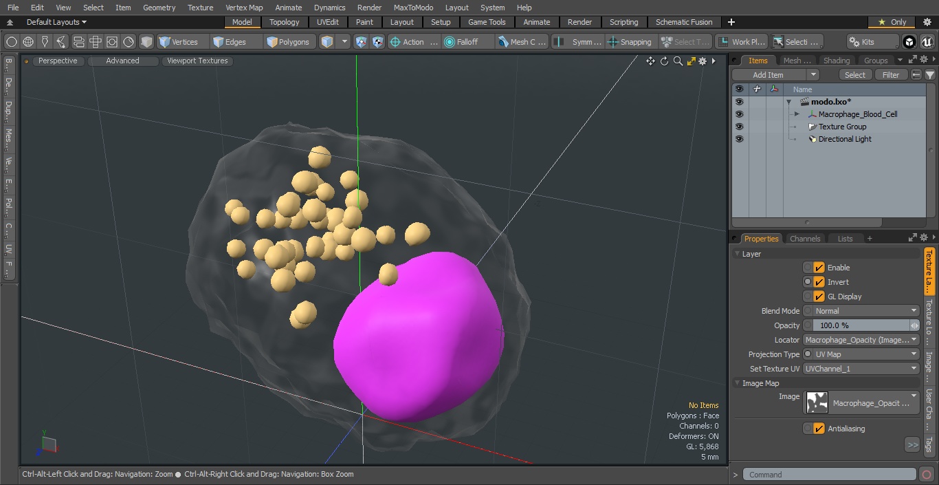 3D Macrophage Blood Cell