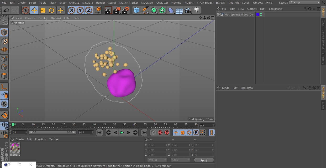 3D Macrophage Blood Cell