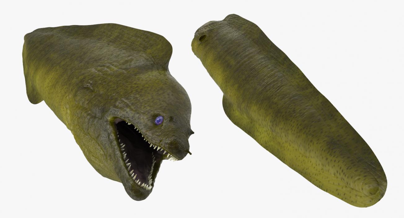 3D model Murena