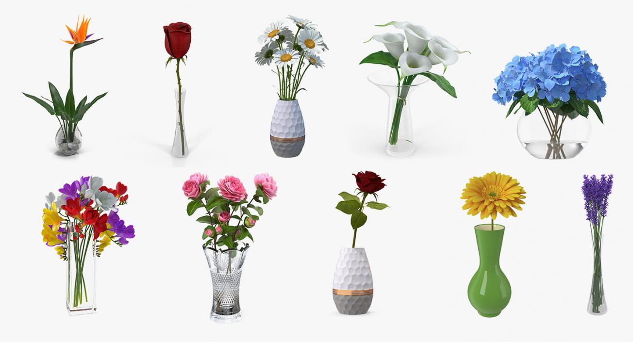 Flowers in Vases Collection 4 3D model