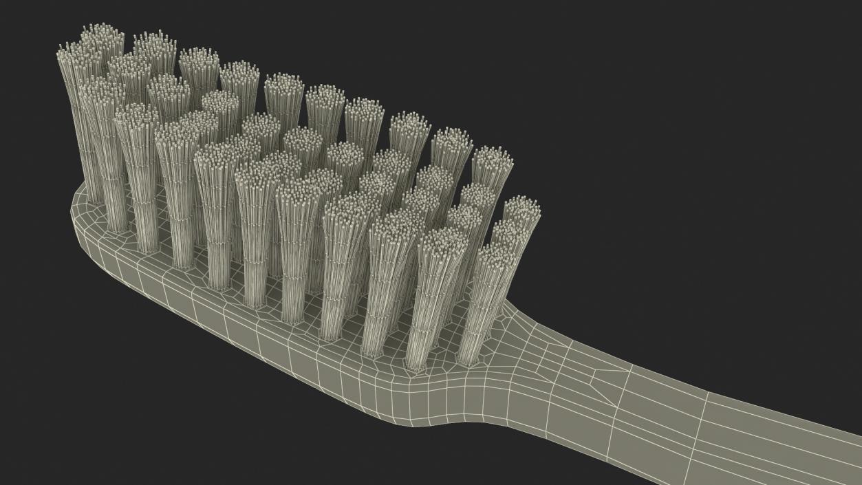 3D model Classical Toothbrush