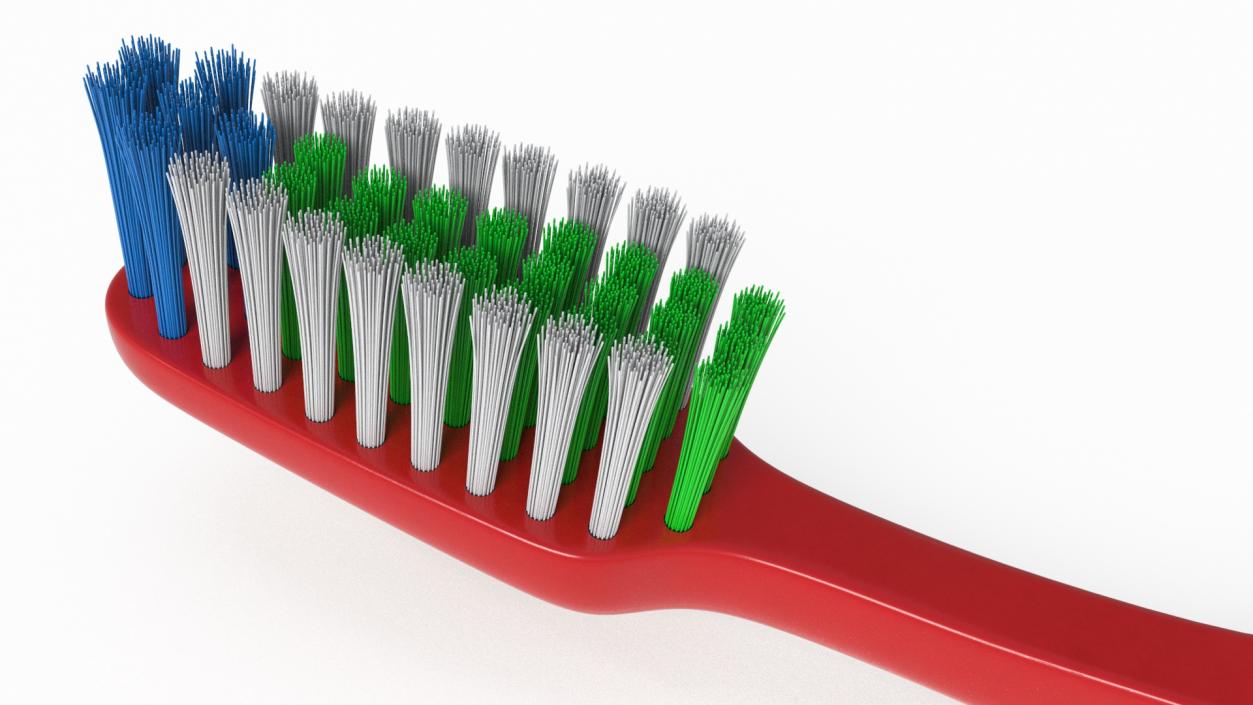 3D model Classical Toothbrush