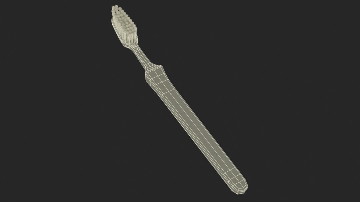 3D model Classical Toothbrush