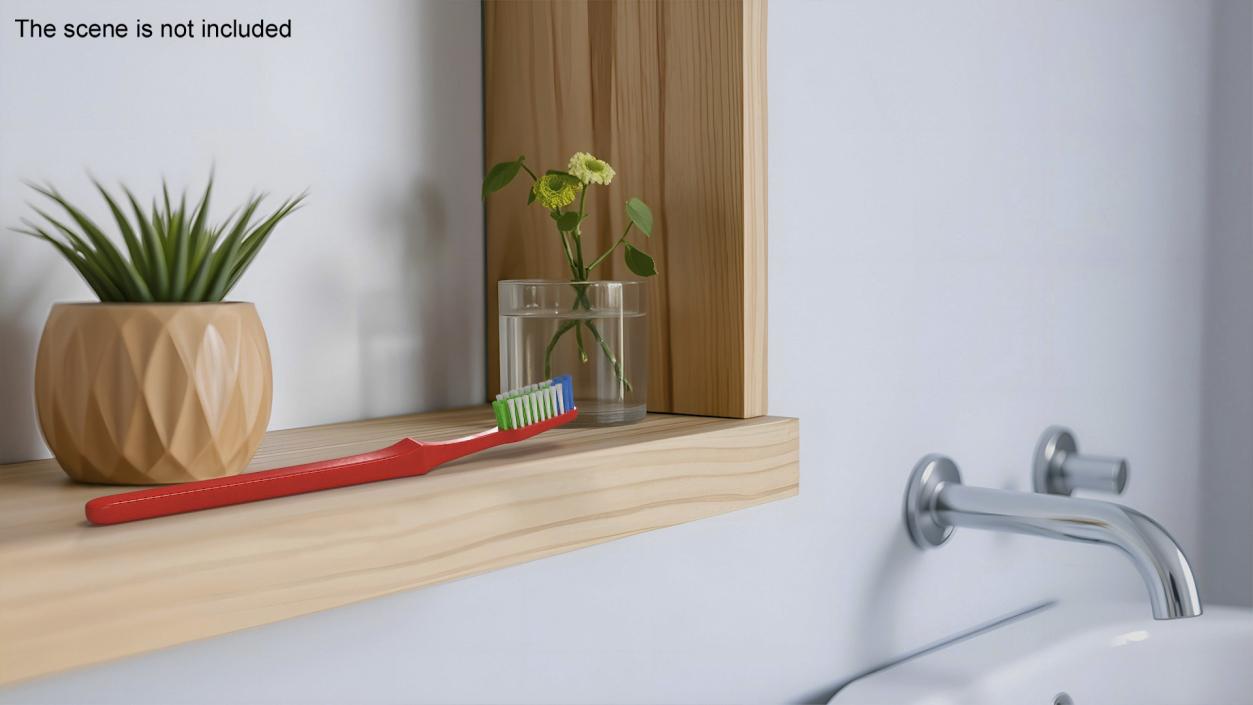 3D model Classical Toothbrush