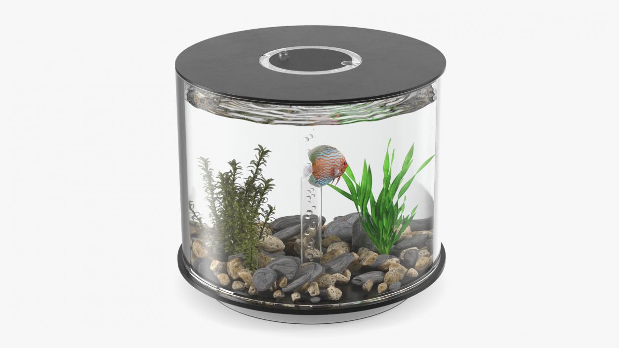 Black Cylinder Fish Tank 3D model