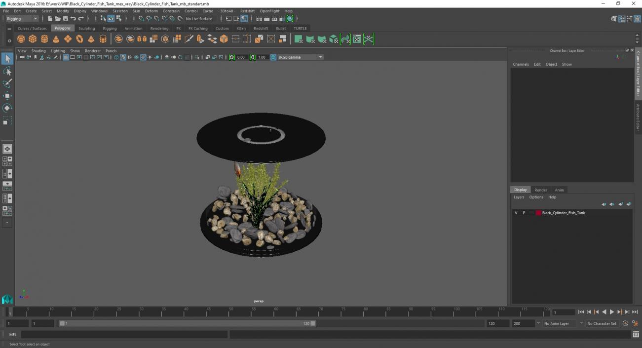 Black Cylinder Fish Tank 3D model