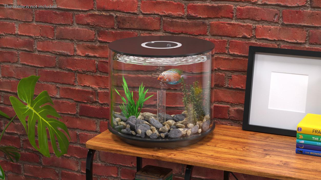 Black Cylinder Fish Tank 3D model