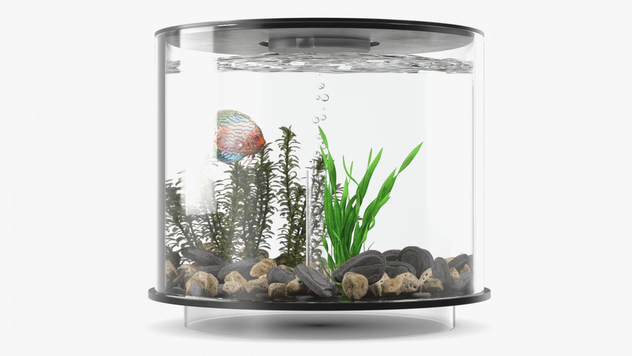 Black Cylinder Fish Tank 3D model