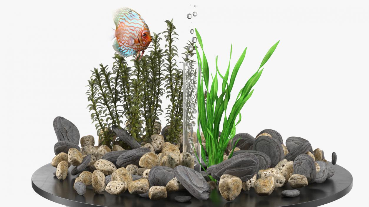 Black Cylinder Fish Tank 3D model