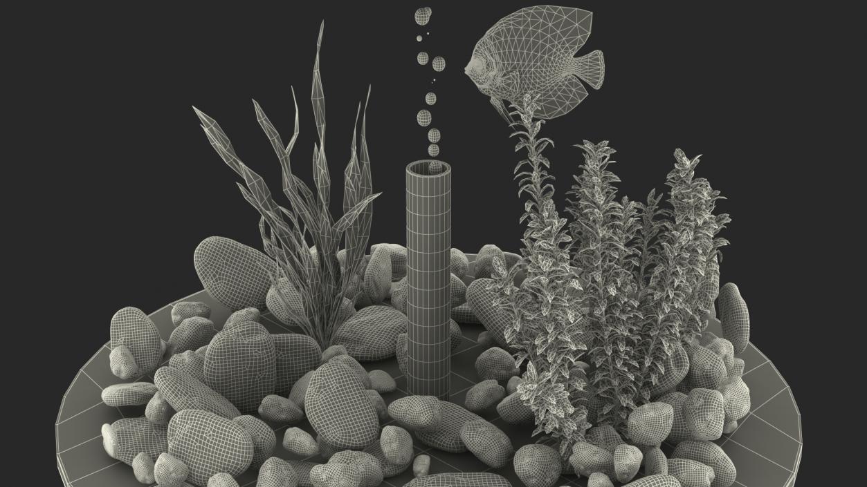 Black Cylinder Fish Tank 3D model