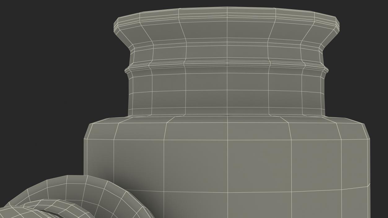 3D Glass Jar of Honey model