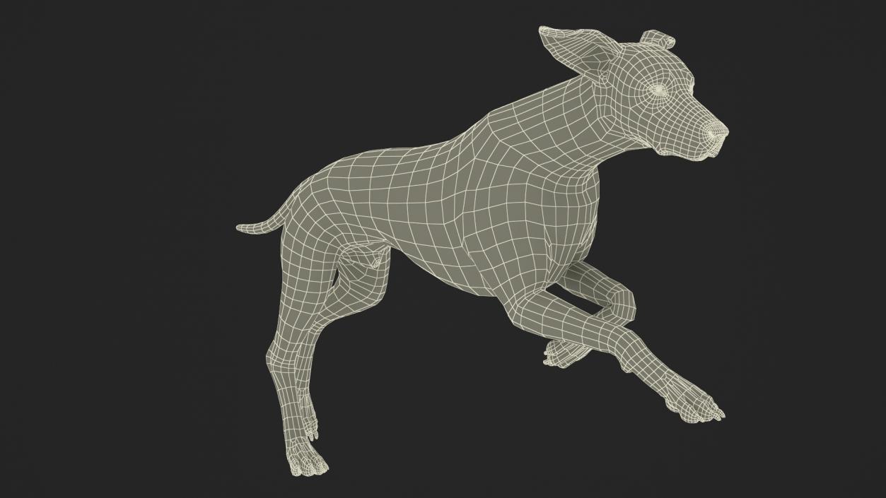 3D model Running Dalmatian Dog Fur