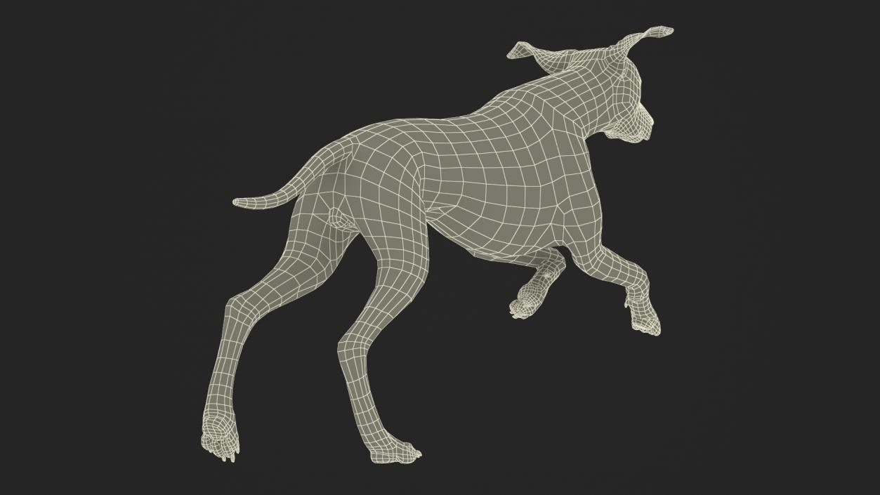 3D model Running Dalmatian Dog Fur