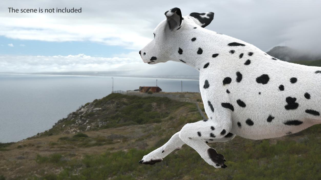 3D model Running Dalmatian Dog Fur