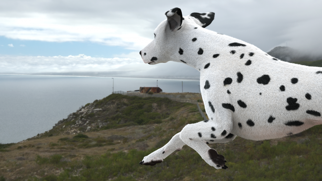 3D model Running Dalmatian Dog Fur