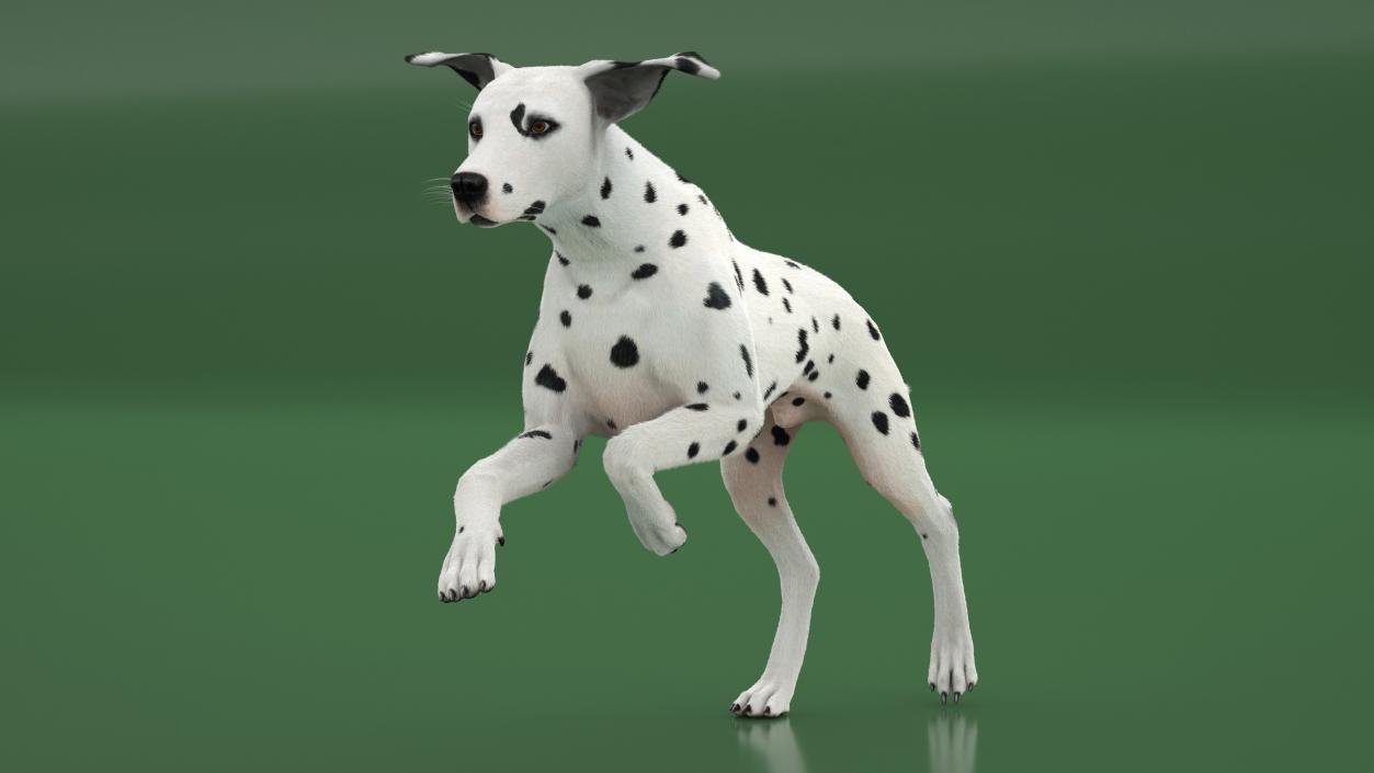 3D model Running Dalmatian Dog Fur