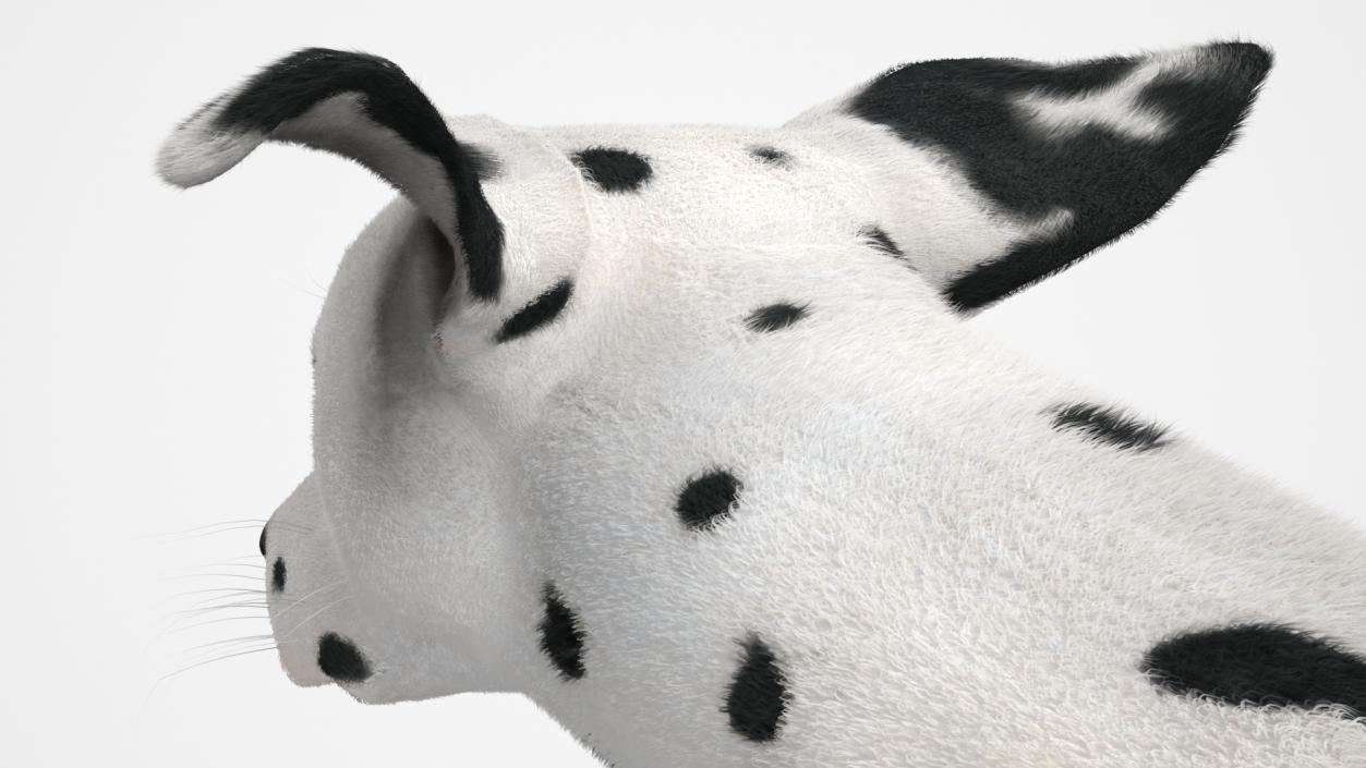 3D model Running Dalmatian Dog Fur