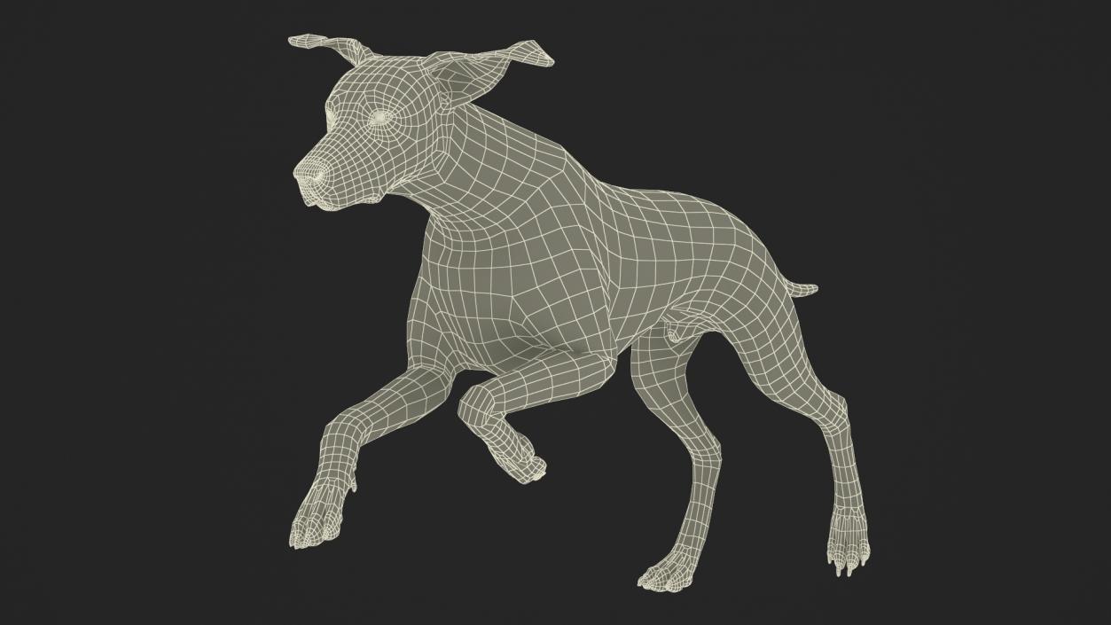 3D model Running Dalmatian Dog Fur