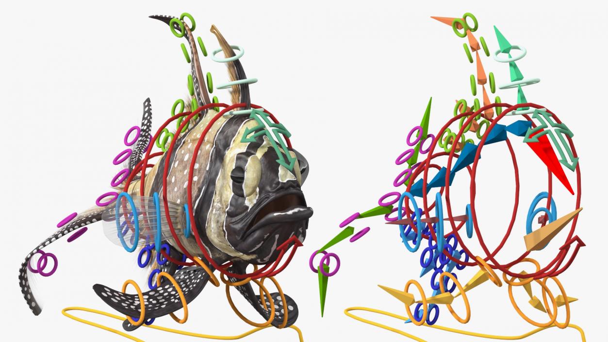 Banggai Cardinalfish Rigged 3D