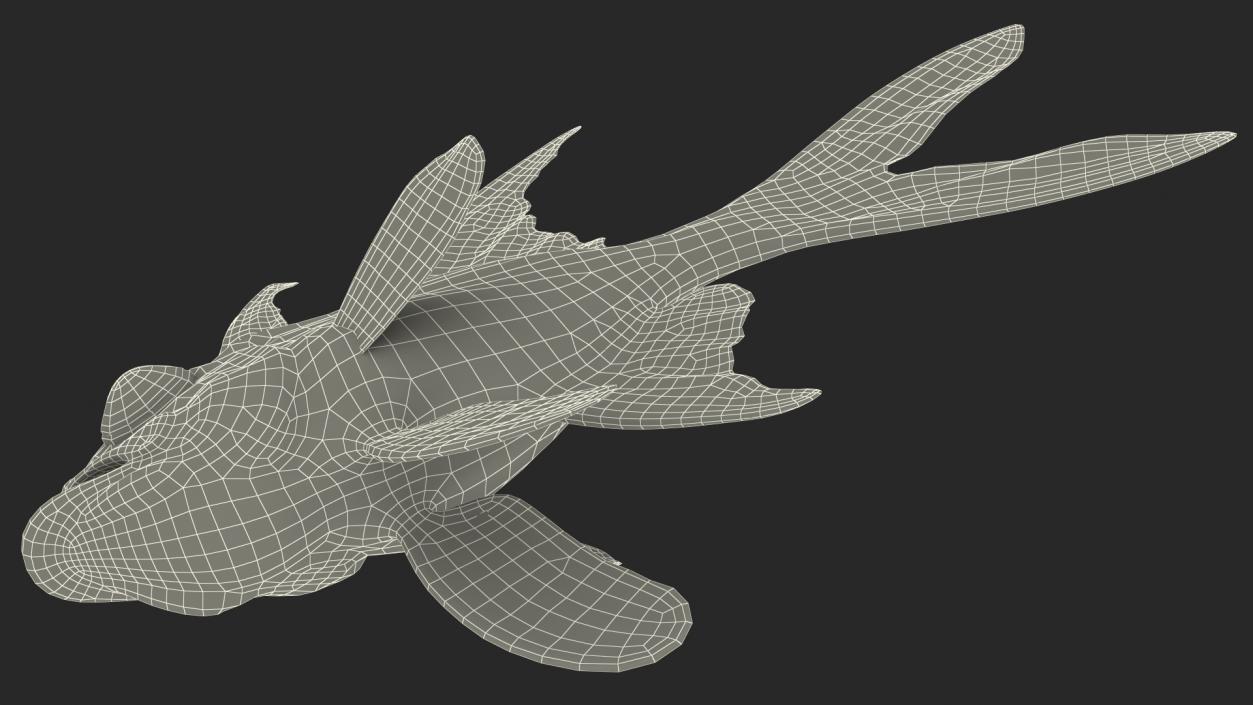 Banggai Cardinalfish Rigged 3D