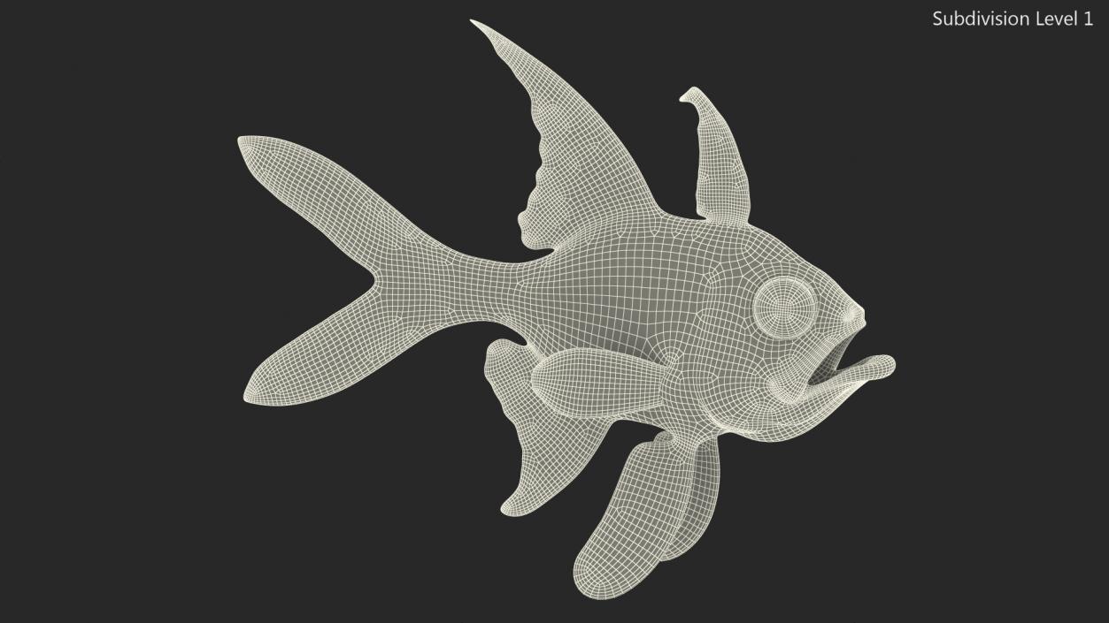 Banggai Cardinalfish Rigged 3D