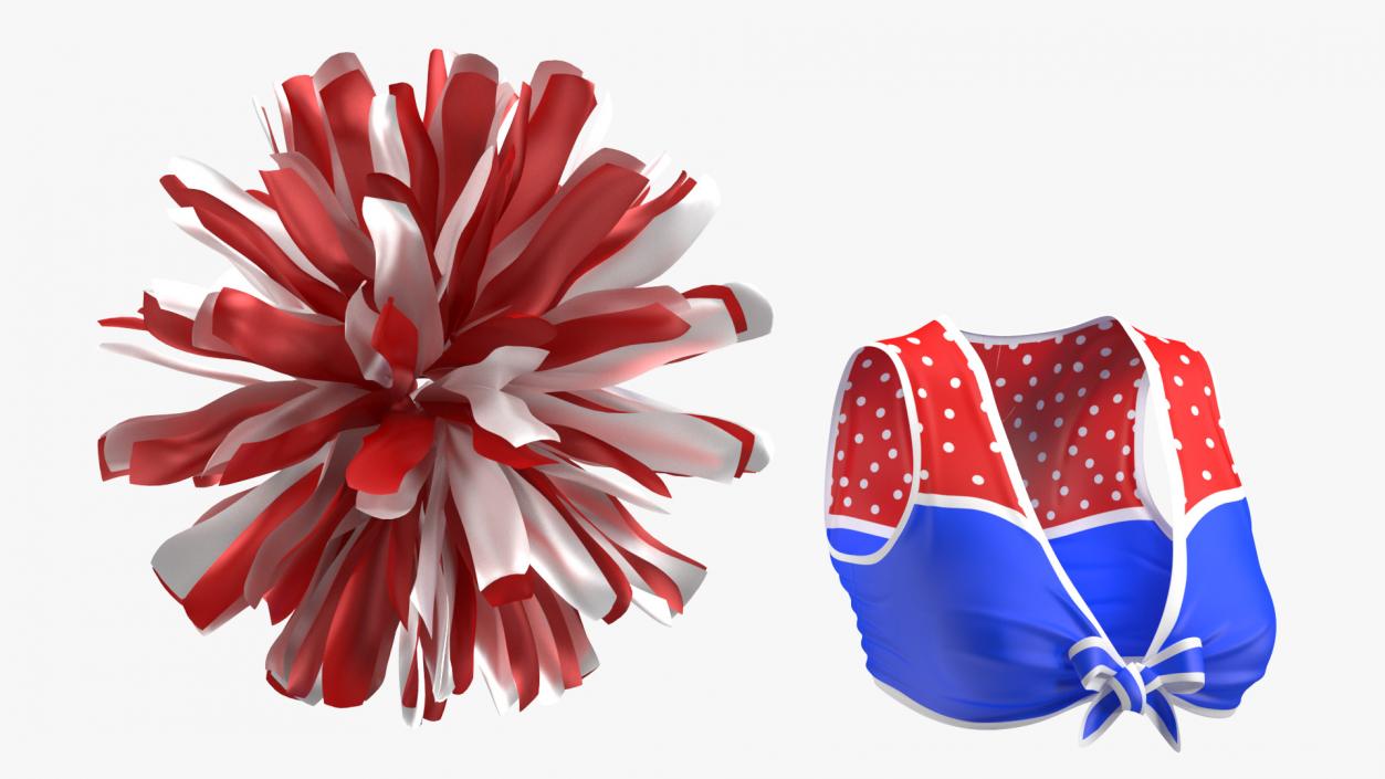 Cheerleader Outfit Set 3D