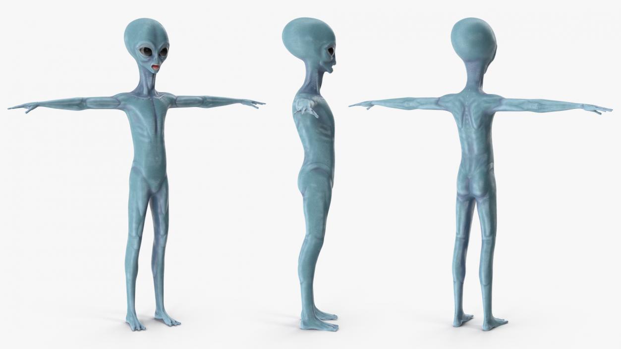 3D Space Alien Rigged model