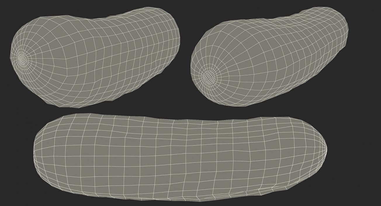 3D model Cucumber