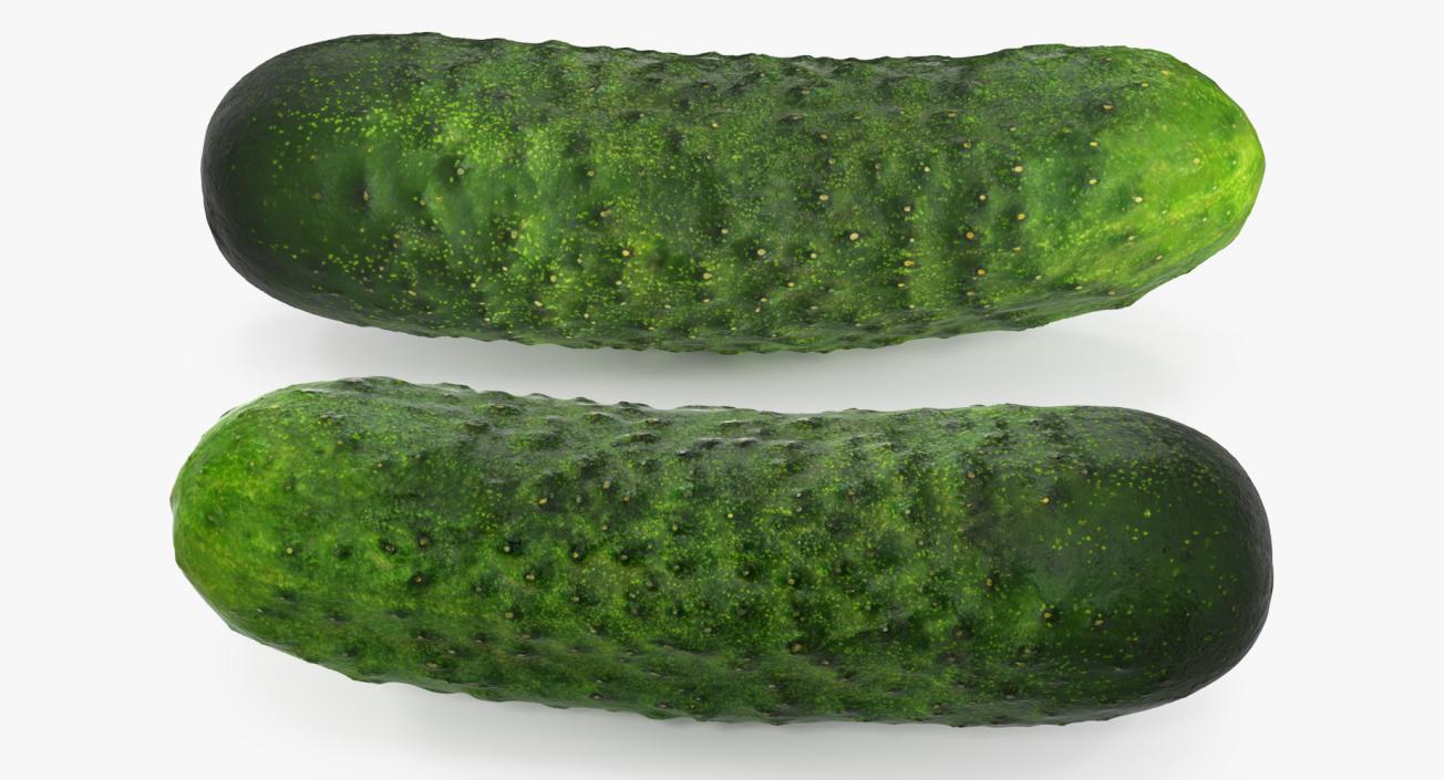 3D model Cucumber