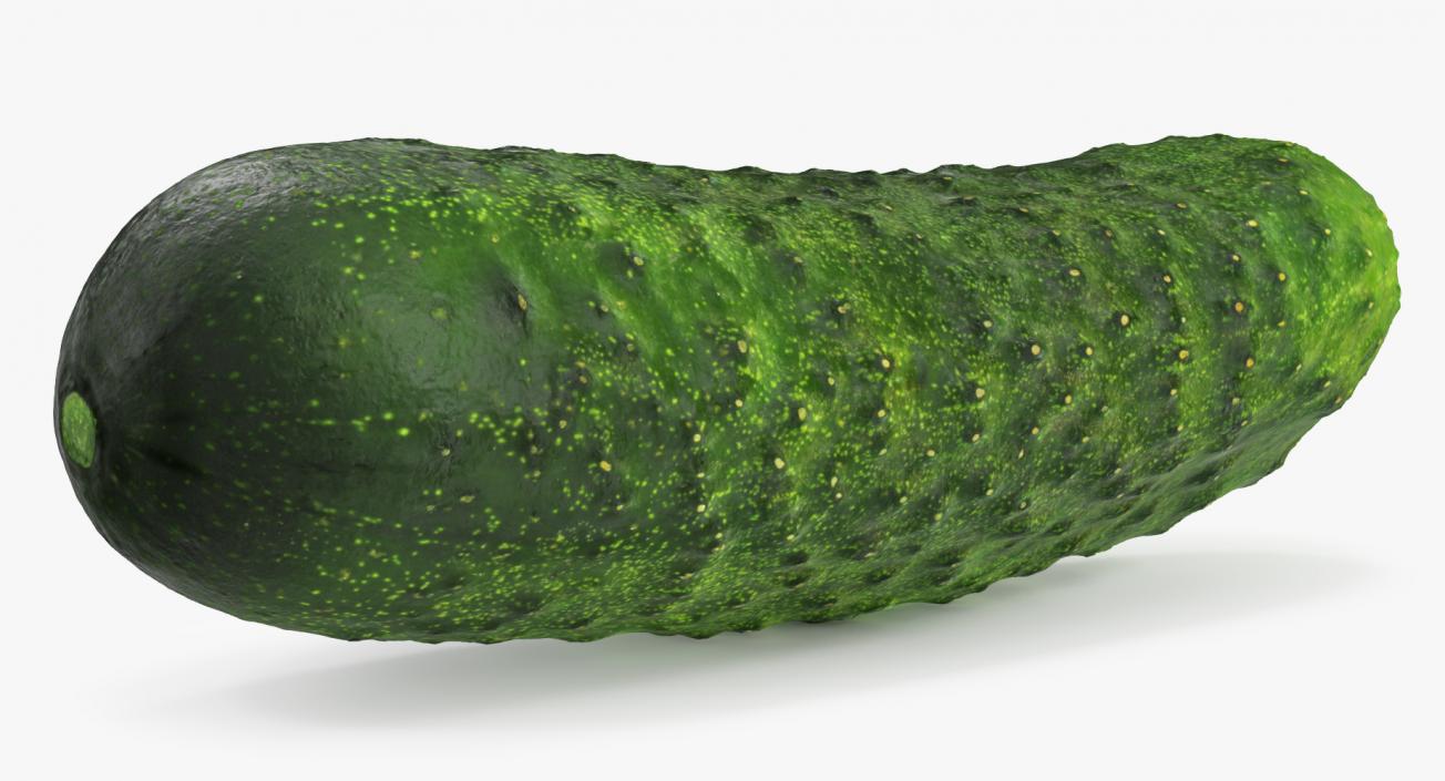 3D model Cucumber