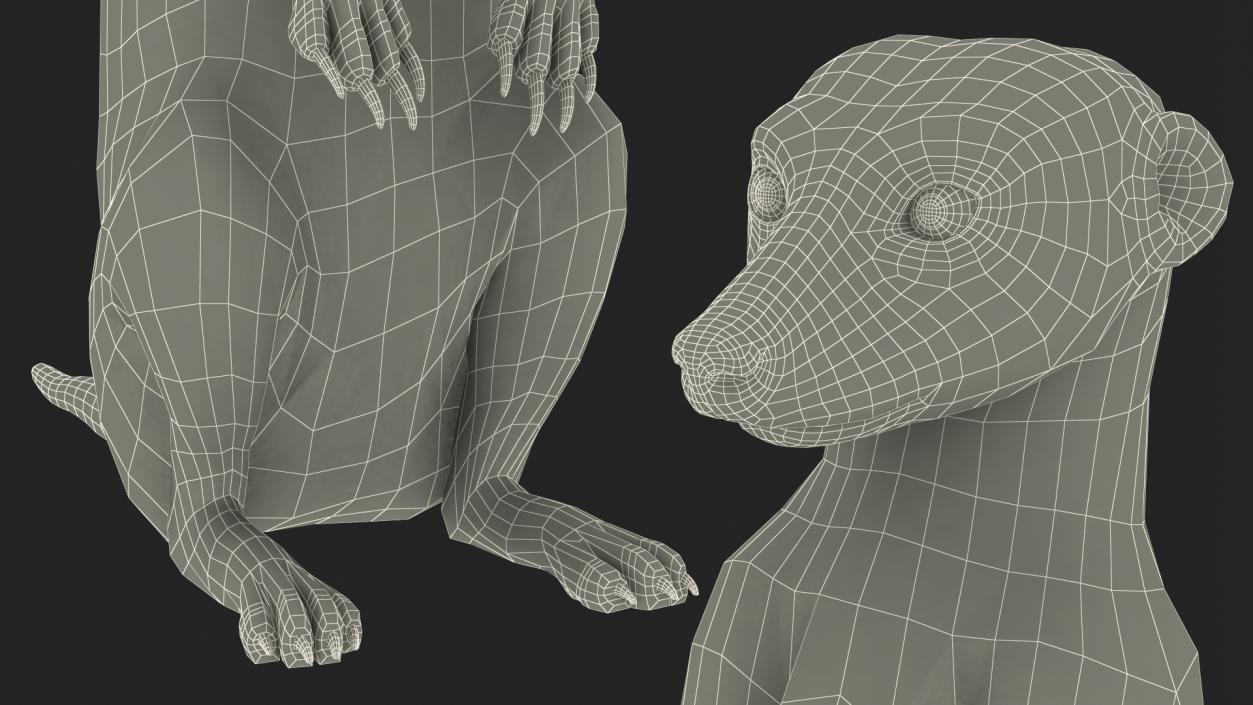 3D model Meerkat Sitting Pose