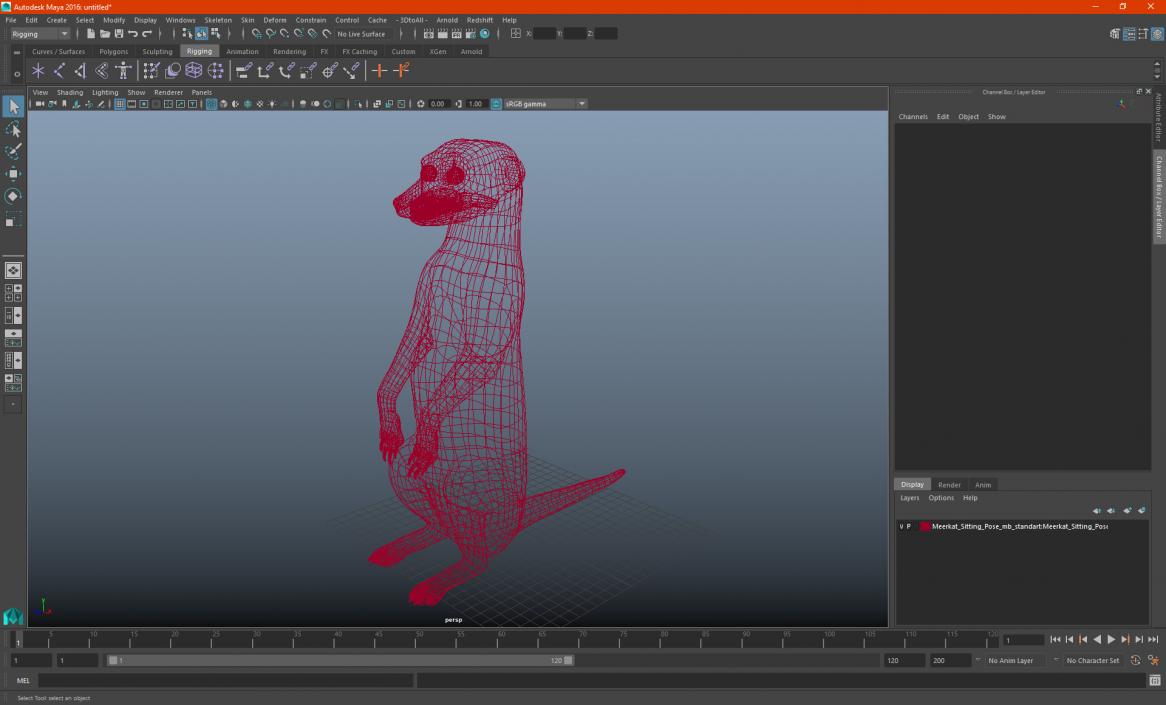 3D model Meerkat Sitting Pose