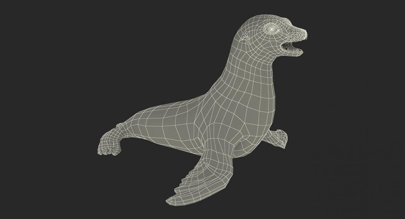 Marine Mammals Rigged Collection 3 3D model