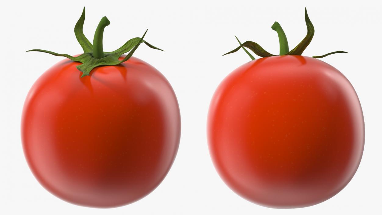 Red Cherry Tomato 3D