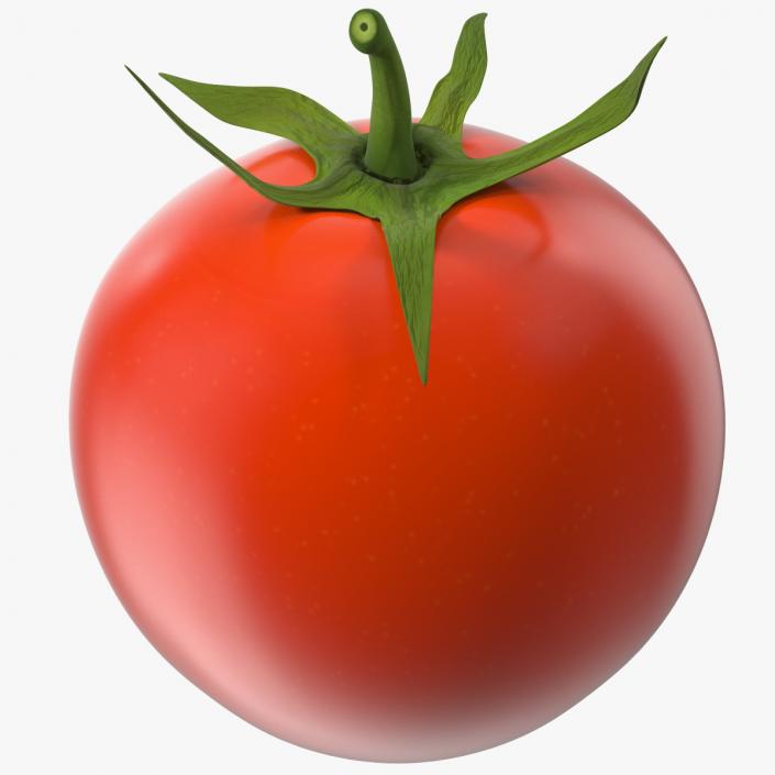 Red Cherry Tomato 3D