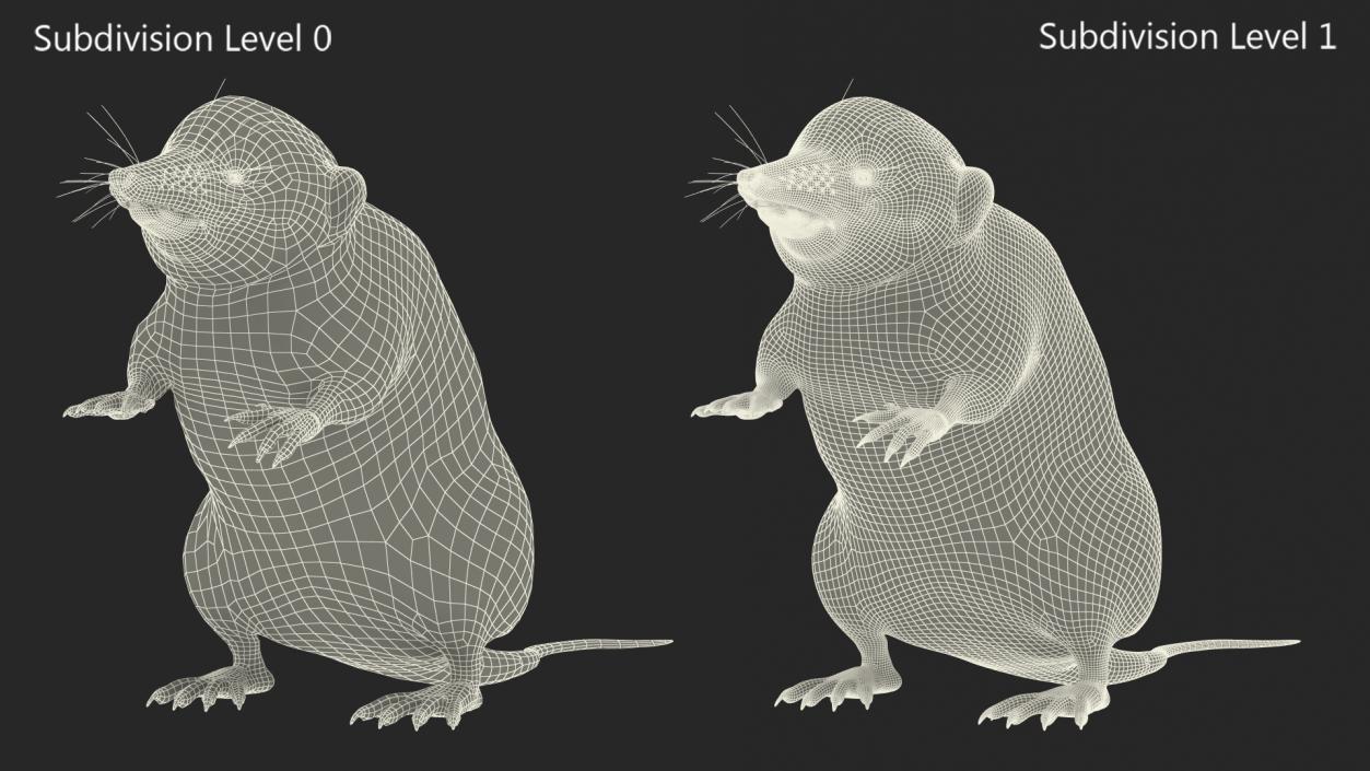 3D Shrew Standing Pose Fur model