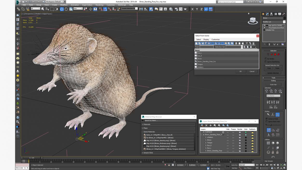 3D Shrew Standing Pose Fur model