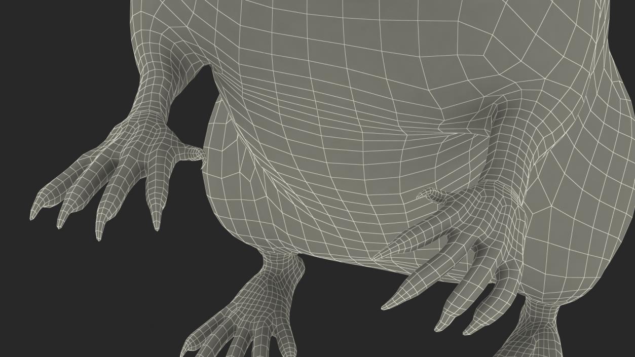 3D Shrew Standing Pose Fur model