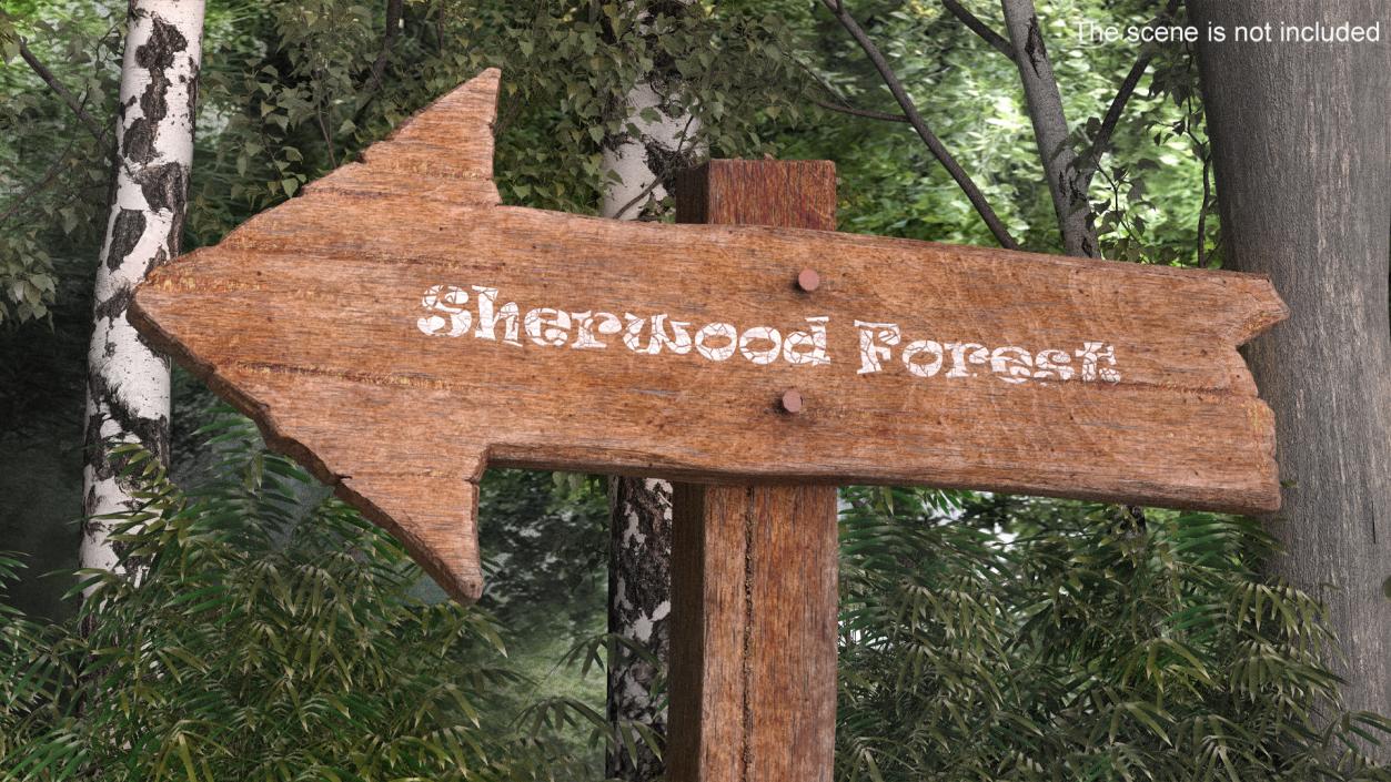 3D Aged Wooden Arrow Signpost