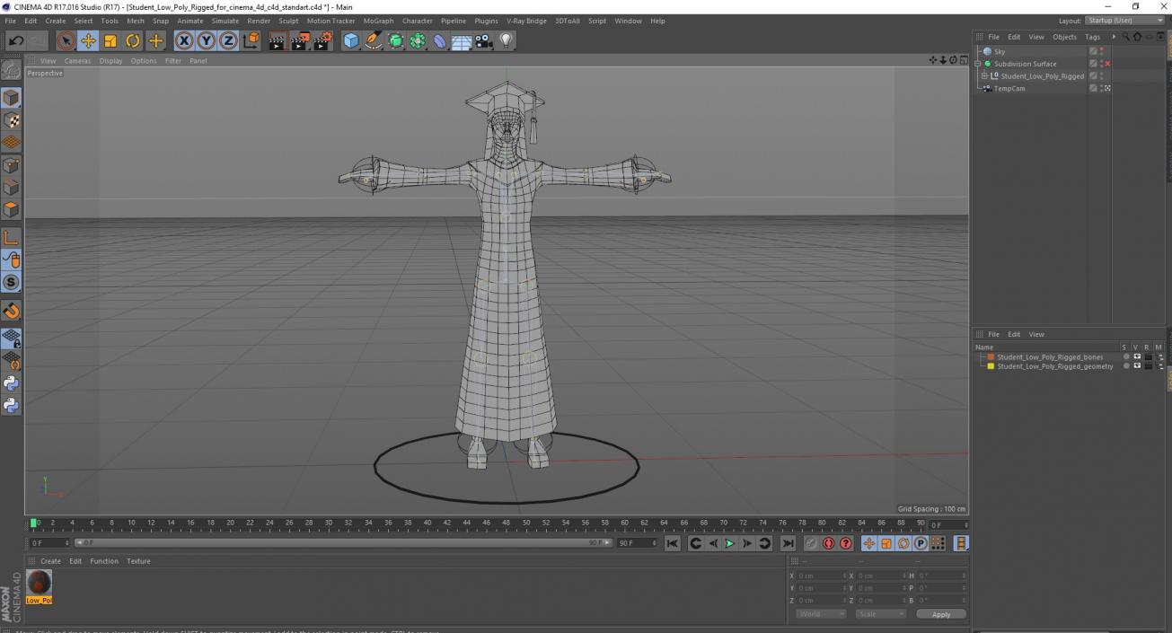 Student Low Poly Rigged for Cinema 4D 3D