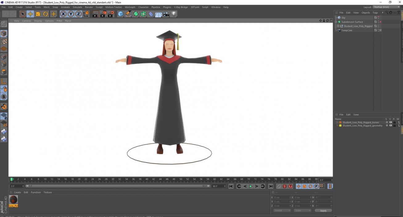 Student Low Poly Rigged for Cinema 4D 3D