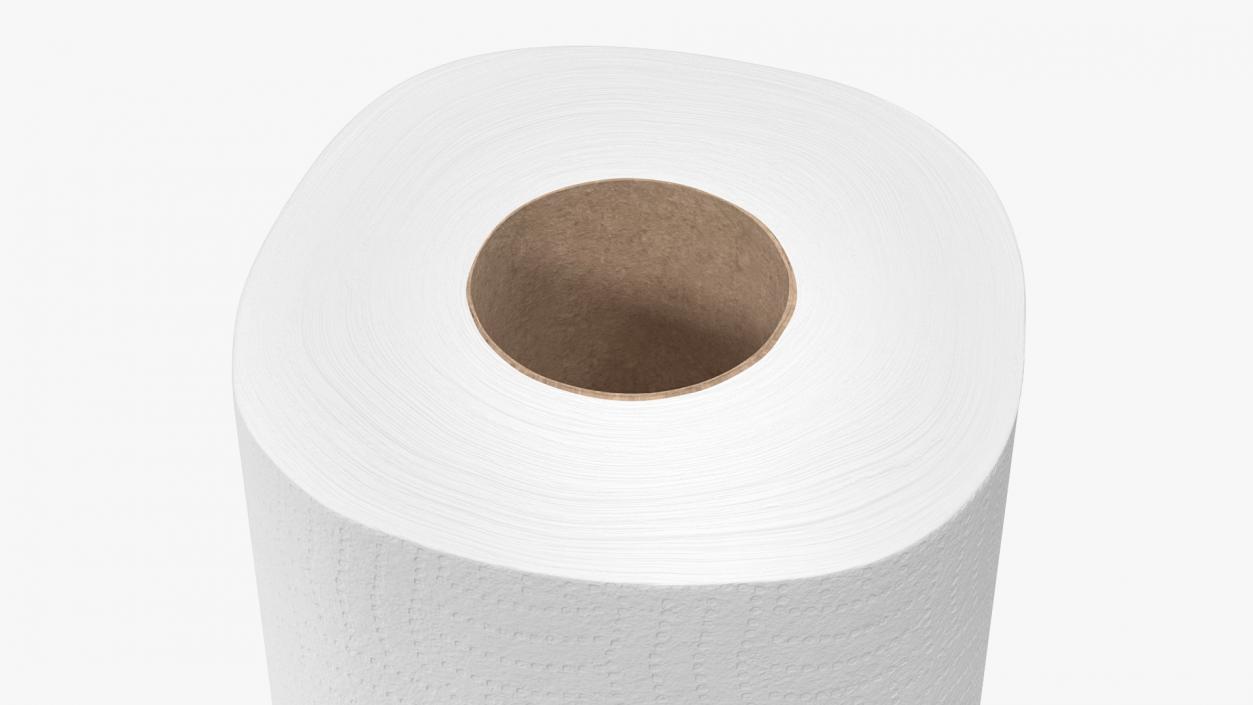 Toilet Paper Roll 3D