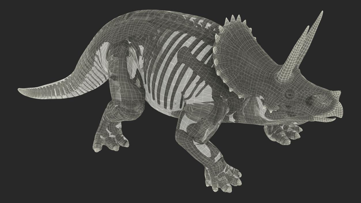 3D Triceratops with Skeleton Fossil Collection model