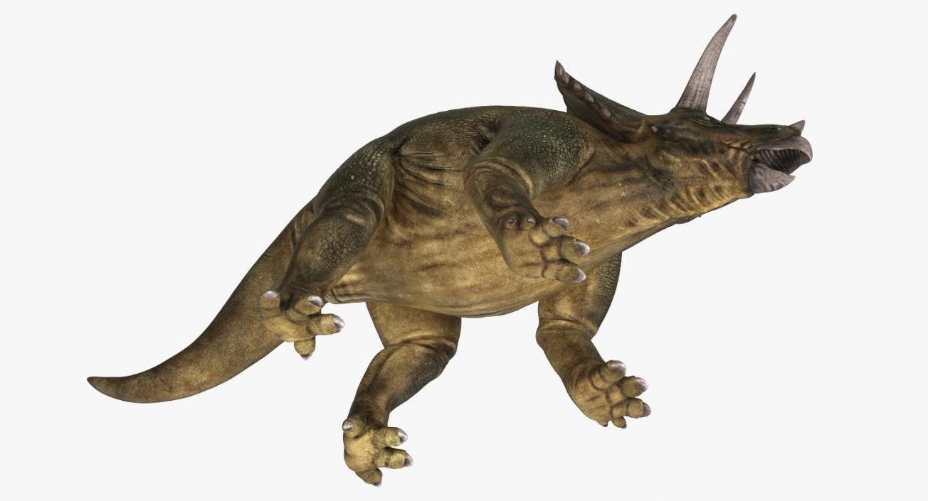 3D Triceratops with Skeleton Fossil Collection model