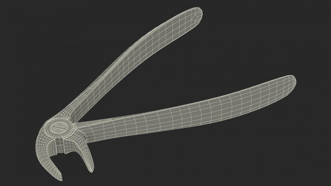 Tooth Extracting Forceps 3D model