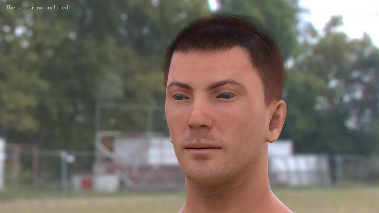 3D Male Head Caucasian Fur model