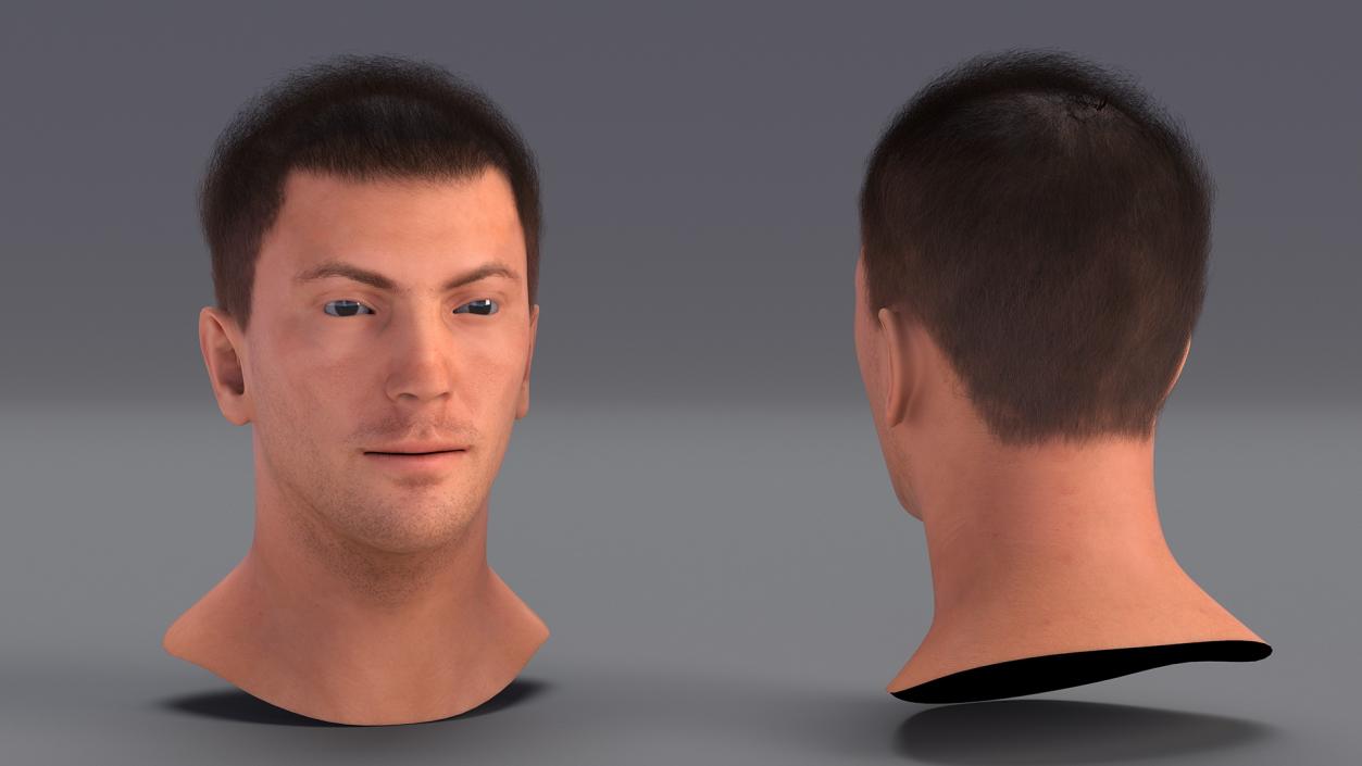 3D Male Head Caucasian Fur model