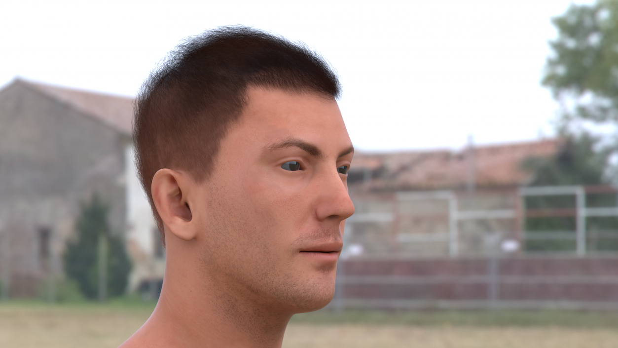 3D Male Head Caucasian Fur model