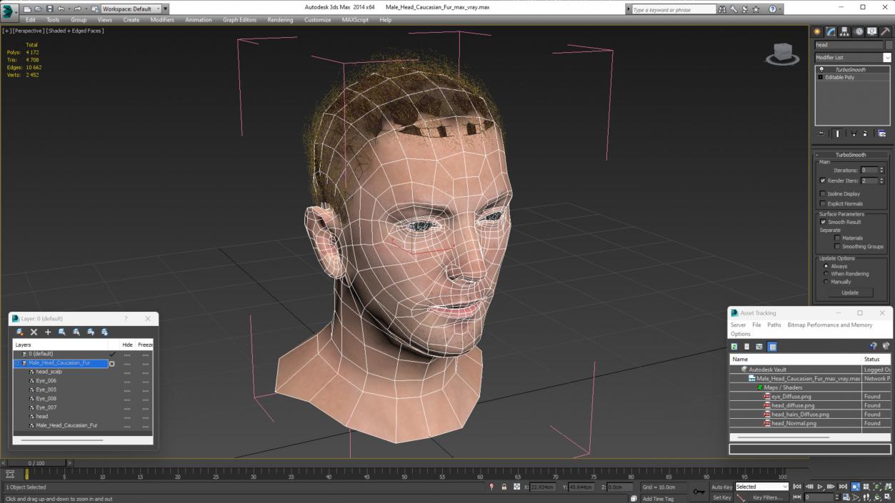 3D Male Head Caucasian Fur model