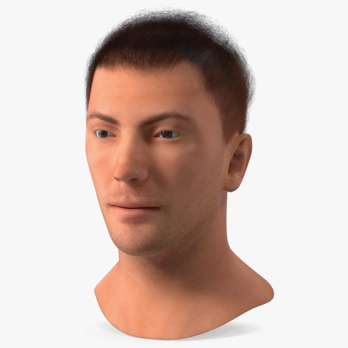 3D Male Head Caucasian Fur model